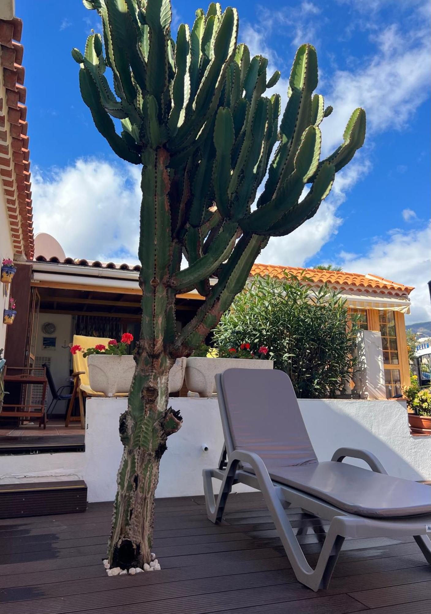 Cactus'S House, 150 M Beach, 1 Bdr, 4 Guests, Wifi, Netflix, Costa Adeje  Exterior foto